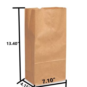 Brown Kraft Paper Bag #12
