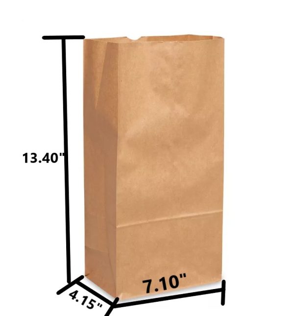 Brown Kraft Paper Bag #12