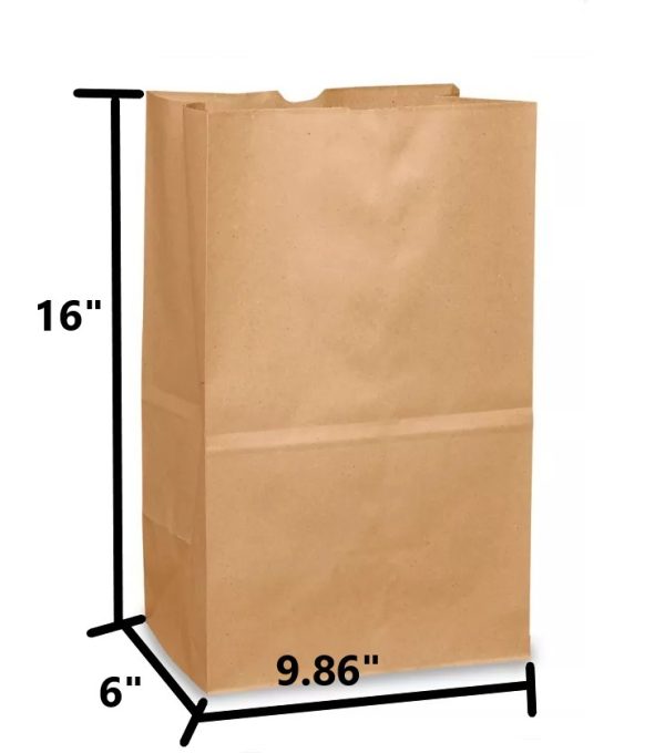 Brown Kraft Paper Bag #25
