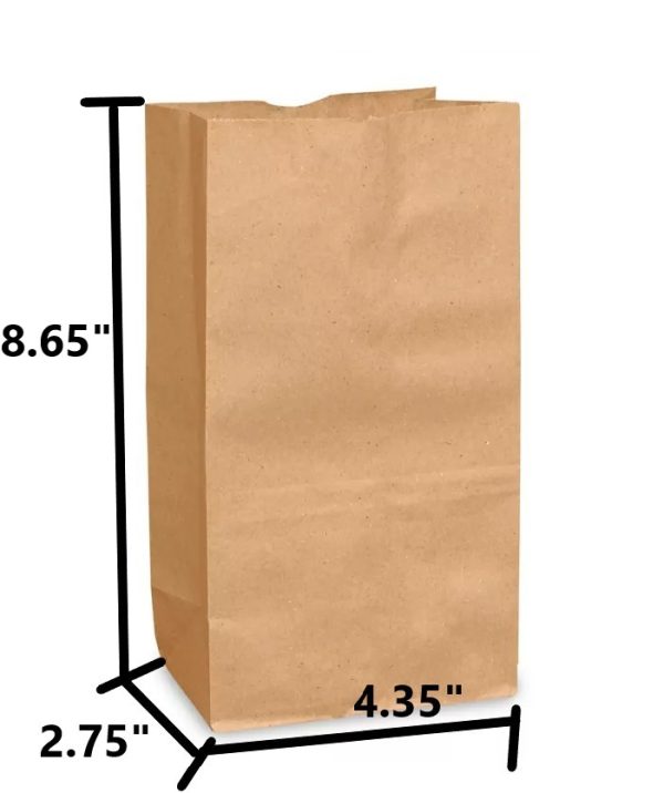 Brown Kraft Paper Bag #3