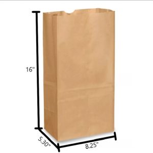 Brown Kraft Paper Bag #20