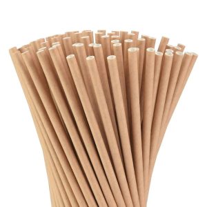 Milkshake Straw